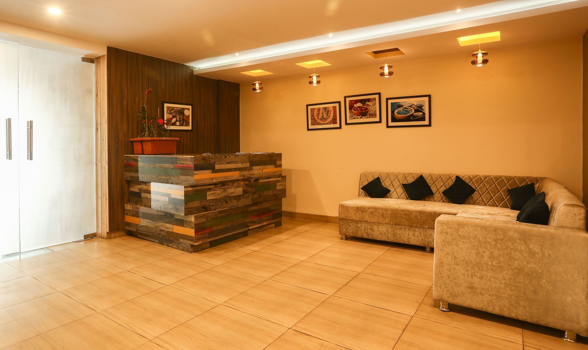 Hotel Treebo Trend Gk Conifer Dharamshala Exterior foto